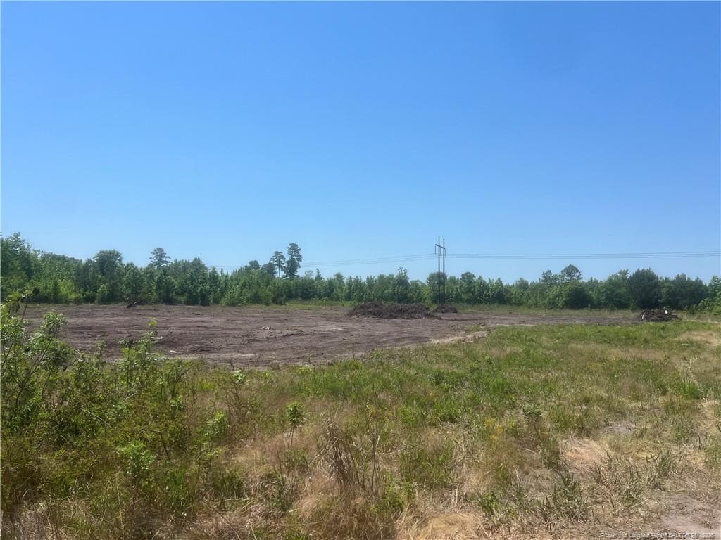 Photo 4 - Harleyville Road, Rowland, NC 28383