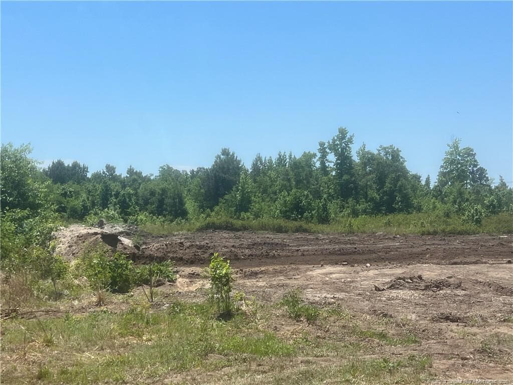 Photo 5 - Harleyville Road, Rowland, NC 28383