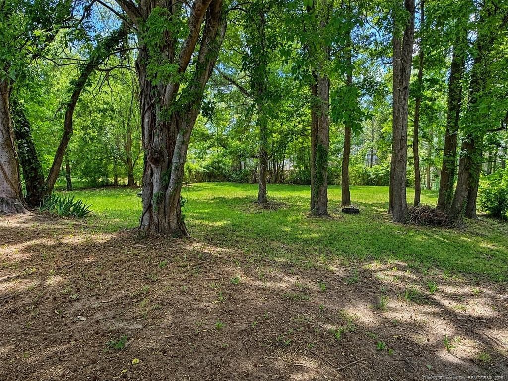 Photo 18 - 2528 Carriage Road, Fayetteville, NC 28312, Fayetteville