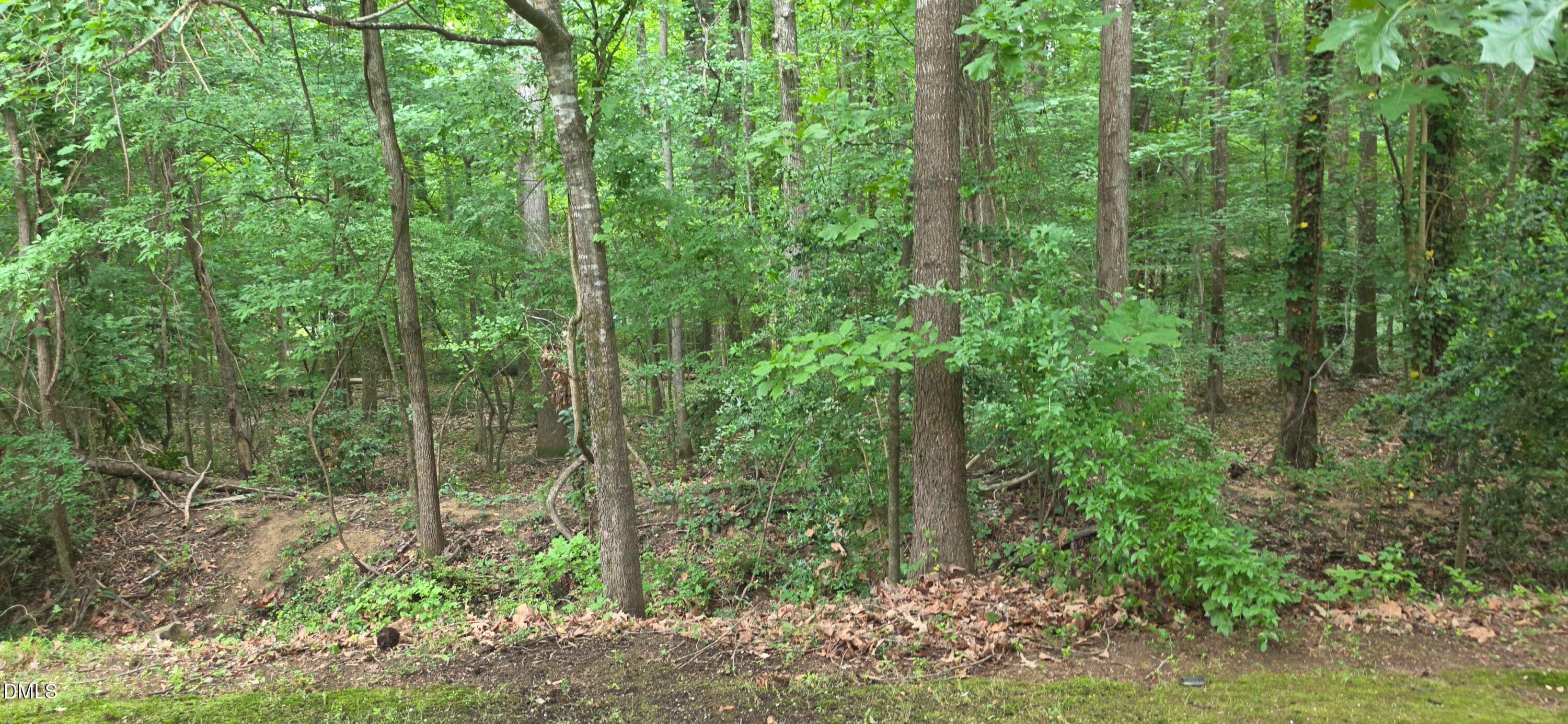 Back yard - 220 Elizabeth Street A18, Chapel Hill, NC 27514, Chapel Hill