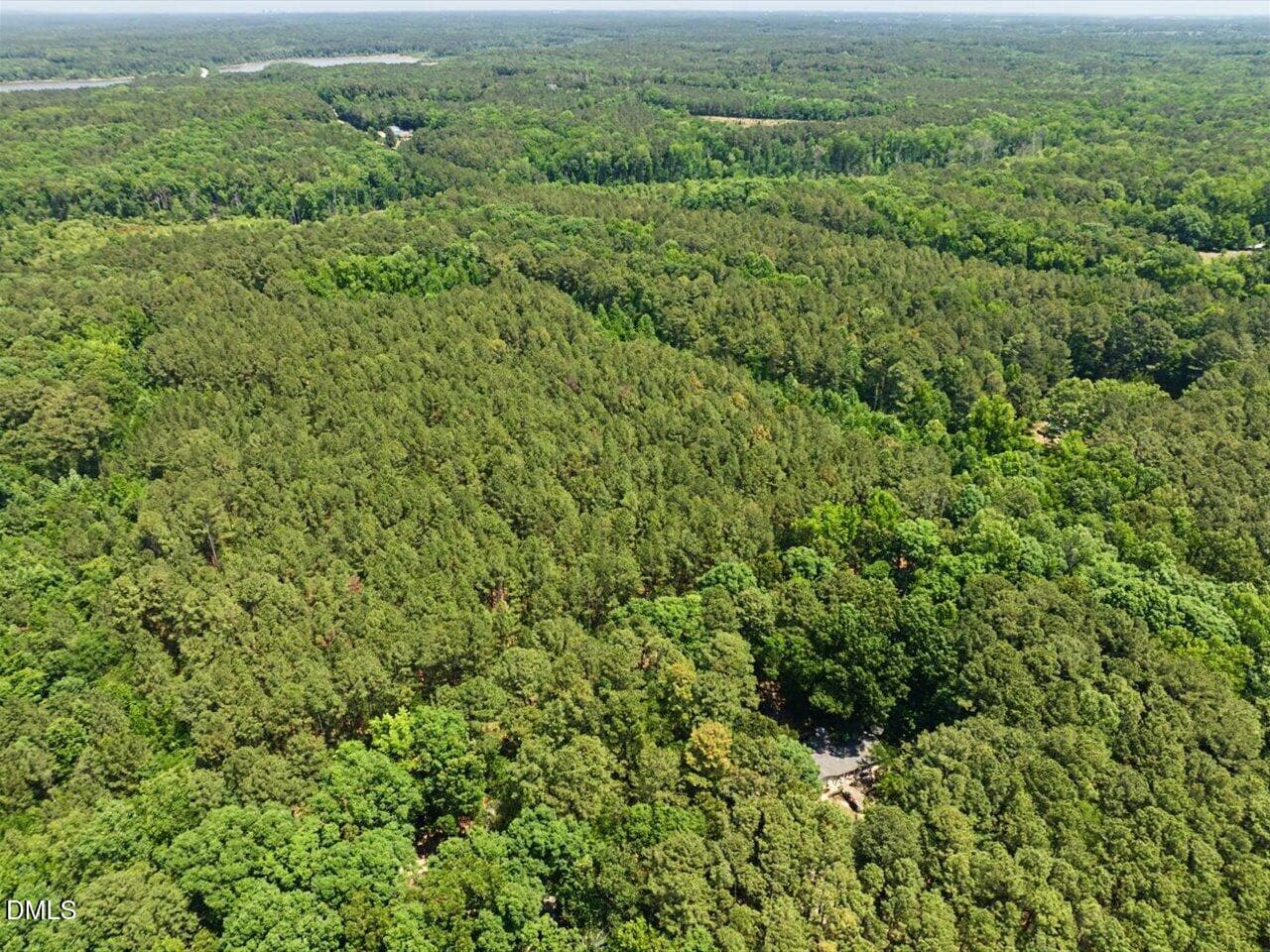 06-006-Chatham-Parcel-80641-ClydeFarrell - Lot 2c Clyde Farrell Road, Apex, NC 27523