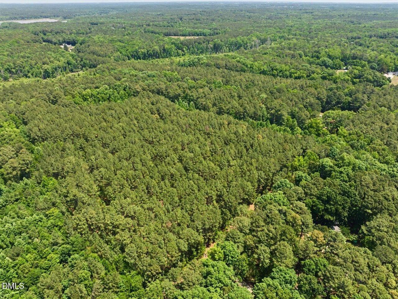 08-008-Chatham-Parcel-80641-ClydeFarrell - Lot 2c Clyde Farrell Road, Apex, NC 27523