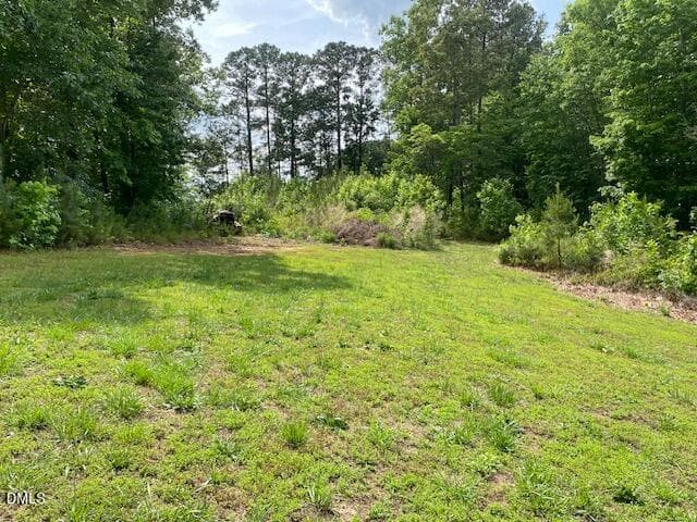 BACK Yard 1 - 176 S Chaucer Way, Kittrell, NC 27544