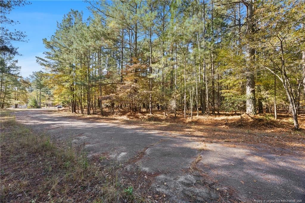 Photo 8 - 0 Topaz Lane, Aberdeen, NC 28315