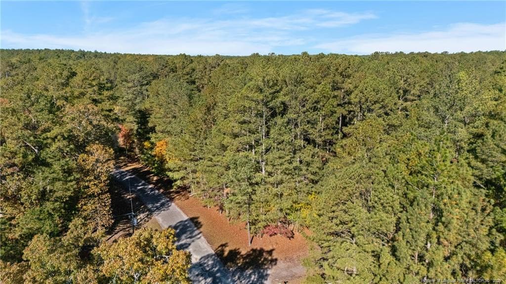 Photo 11 - 0 Topaz Lane, Aberdeen, NC 28315