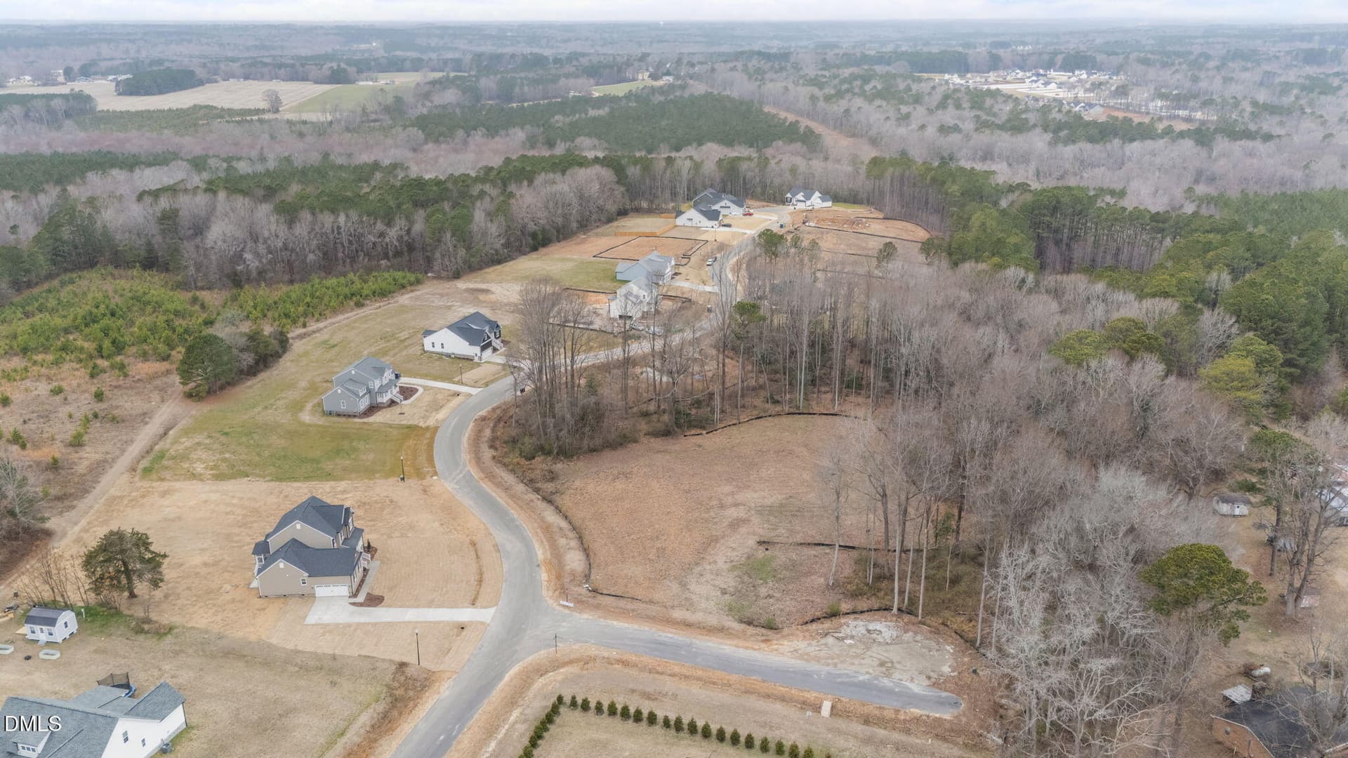 20-web-or-mls-20-dji_20260220104412_0058 - 316 Little Lady Trail, Zebulon, NC 27597