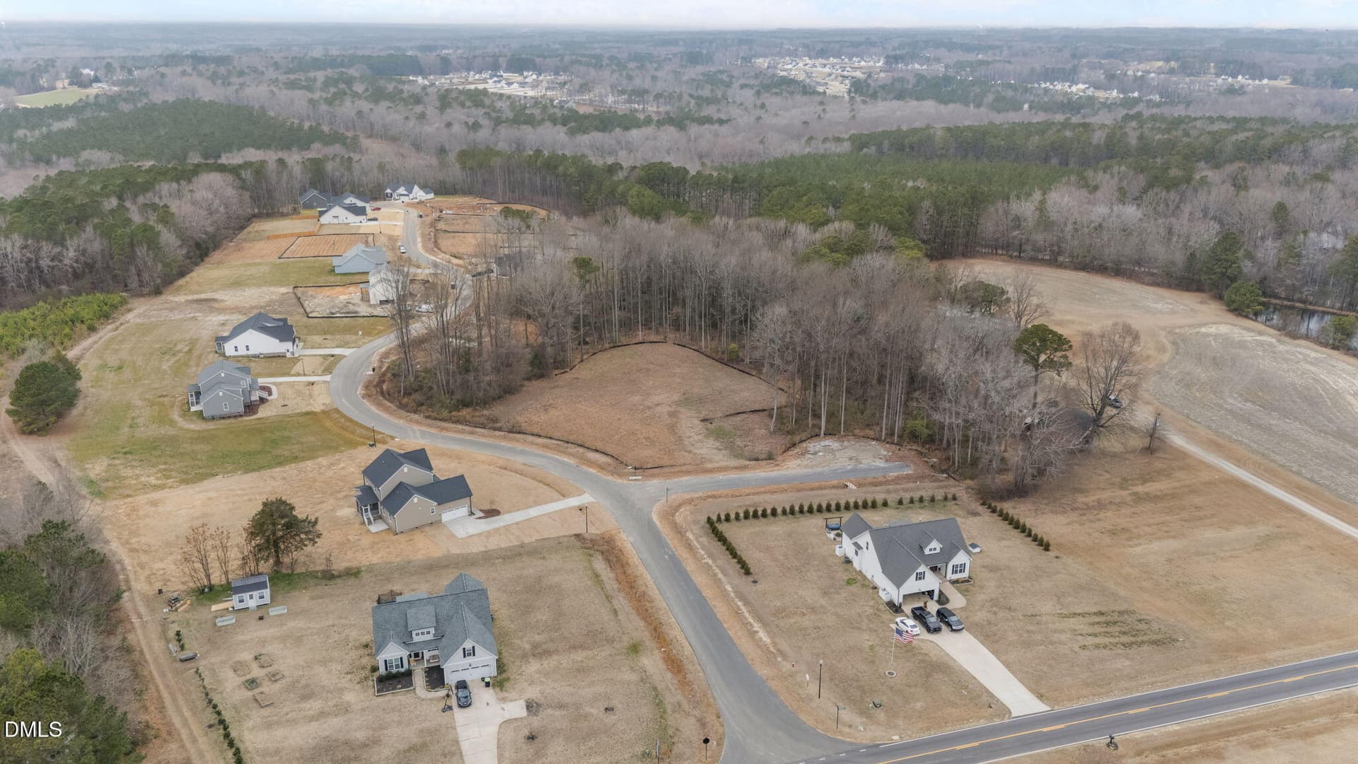 21-web-or-mls-21-dji_20260220104427_0059 - 316 Little Lady Trail, Zebulon, NC 27597
