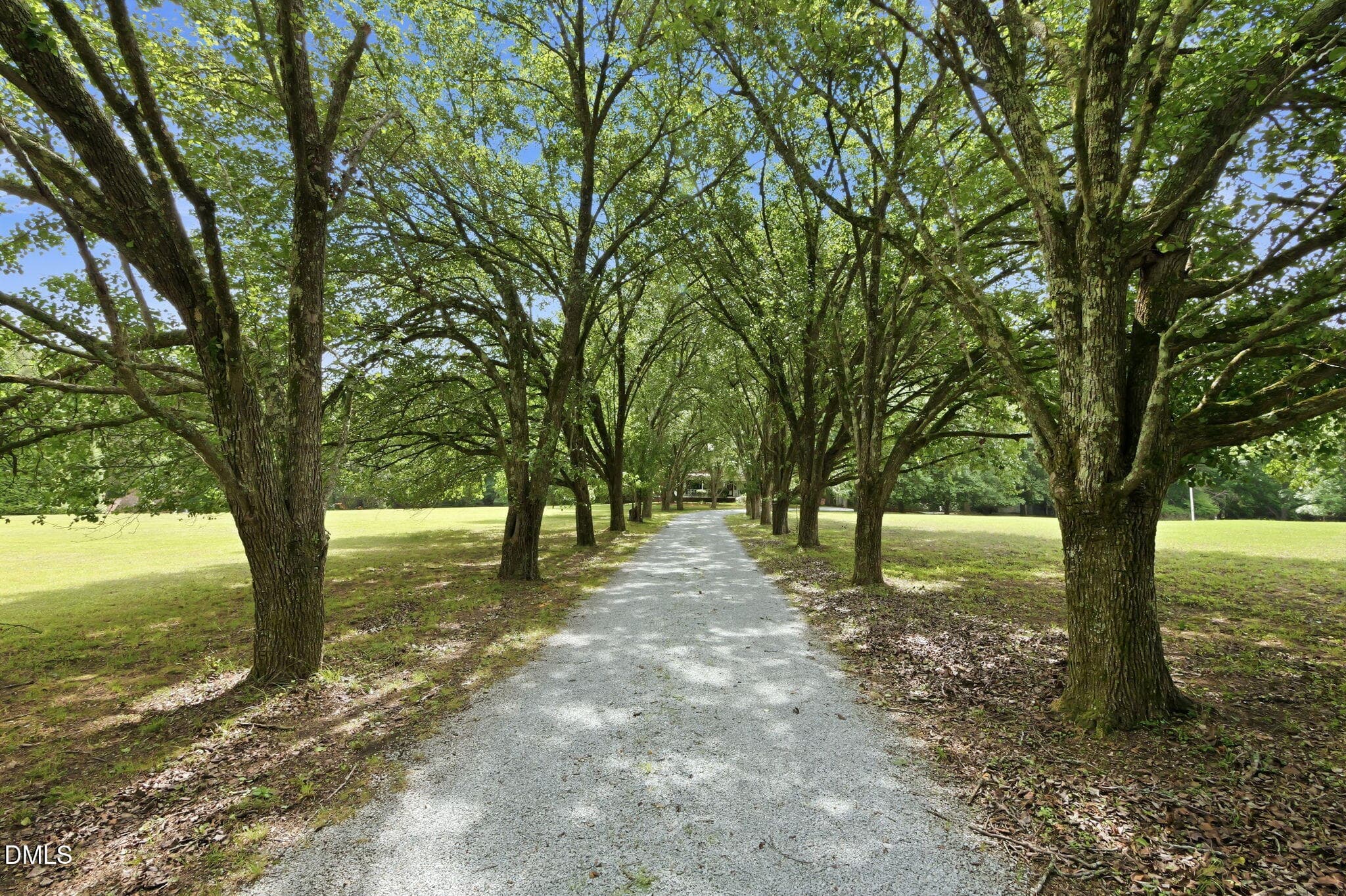 Driveway to house - 2102 Bahama Road, Bahama, NC 27503, Bahama