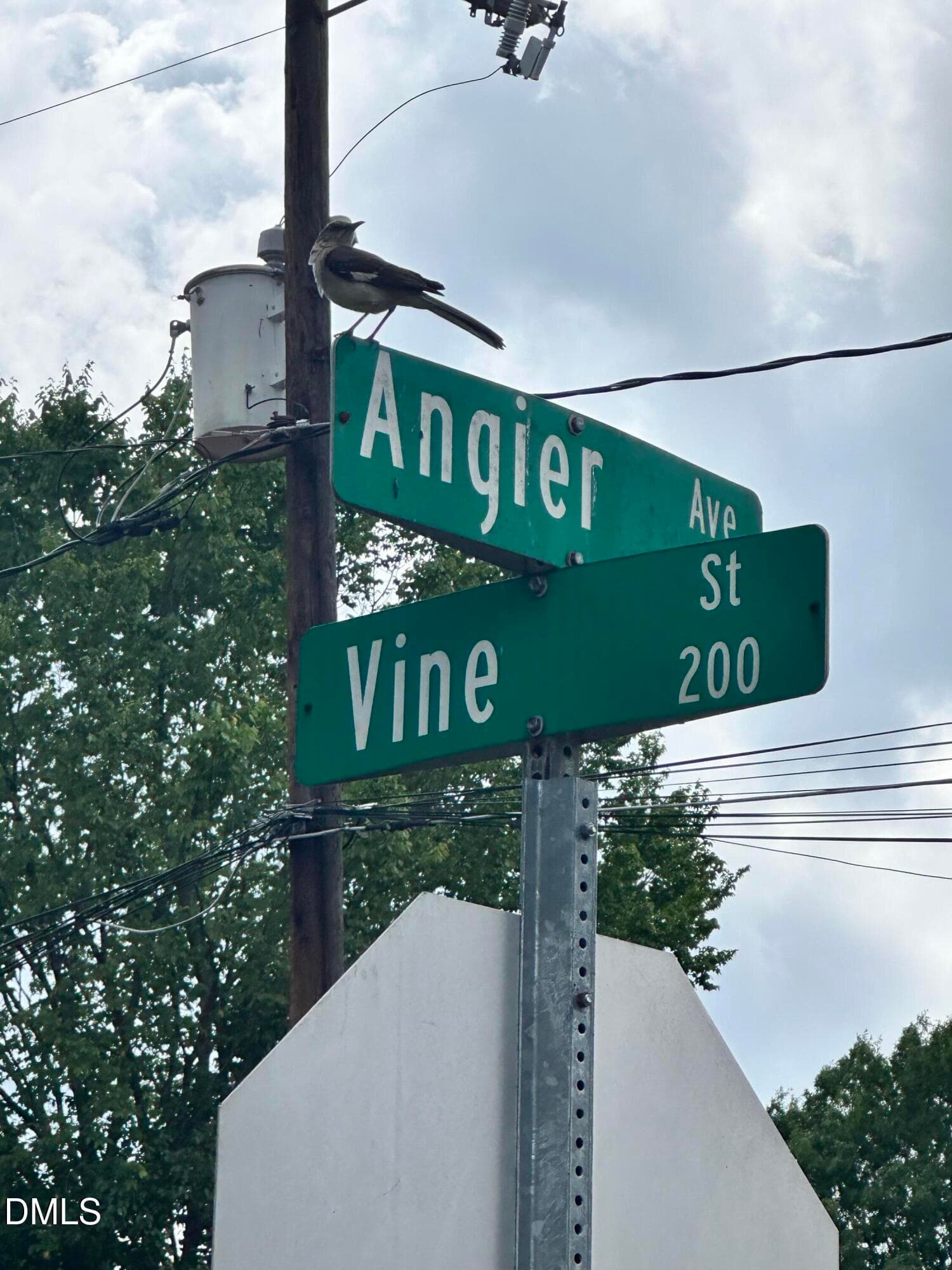 IMG_8748 - 1807 Angier Avenue, Durham, NC 27703