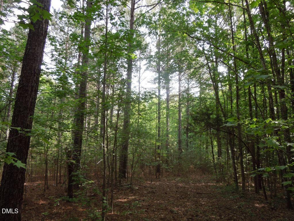 DSCN0491 - 000 Glebe Road, Henderson, NC 27537