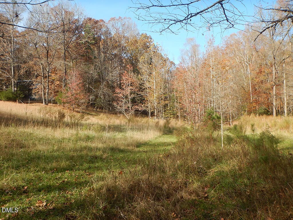 205 Anolis Field - 205 Anolis Drive, Pittsboro, NC 27312