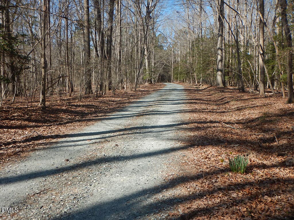 205 Anolis Path - 205 Anolis Drive, Pittsboro, NC 27312