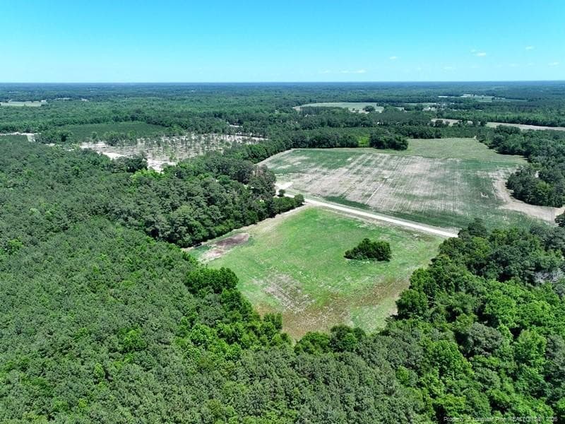 Photo 2 - Sand Rock Road, Fairmont, NC 28340