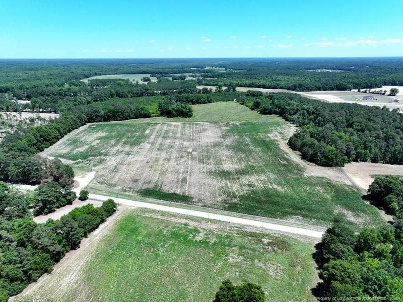 Photo 3 - Sand Rock Road, Fairmont, NC 28340