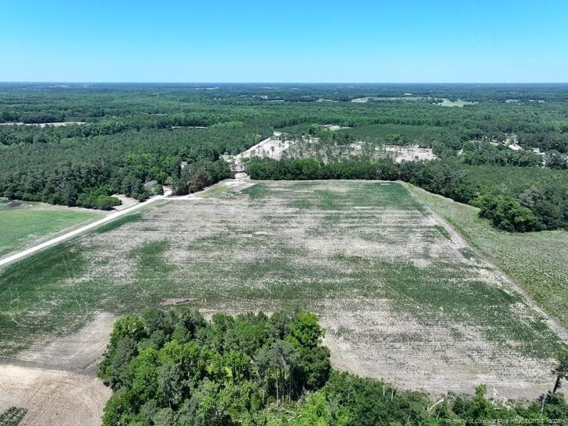 Photo 4 - Sand Rock Road, Fairmont, NC 28340