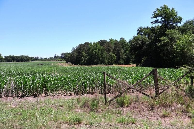 Photo 6 - Sand Rock Road, Fairmont, NC 28340
