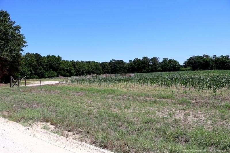 Photo 13 - Sand Rock Road, Fairmont, NC 28340