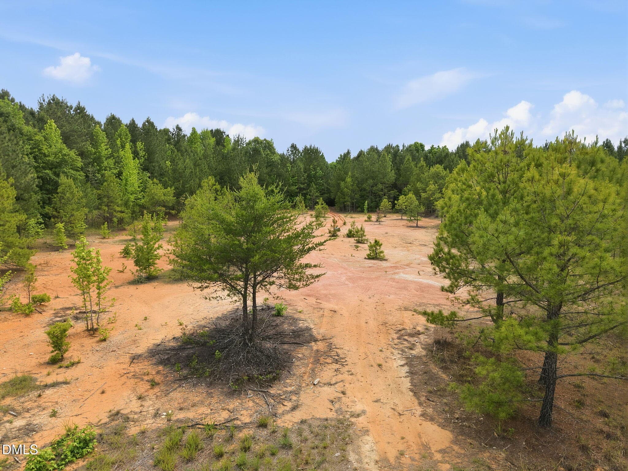 13-web-or-mls-DJI_20260526152357_0090_D - 1656 Nc 42 Highway, Moncure, NC 27559