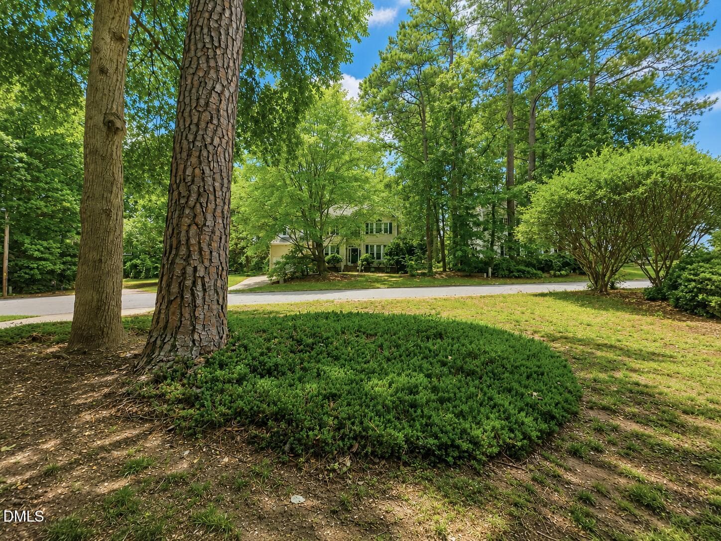 Front yard - 1003 Inglenook Place, Apex, NC 27502