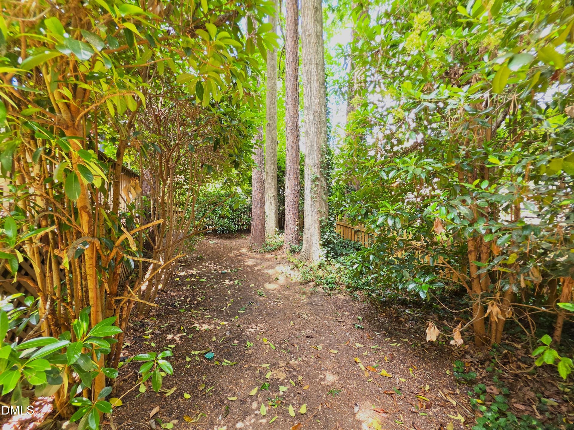 Backyard - 1003 Inglenook Place, Apex, NC 27502