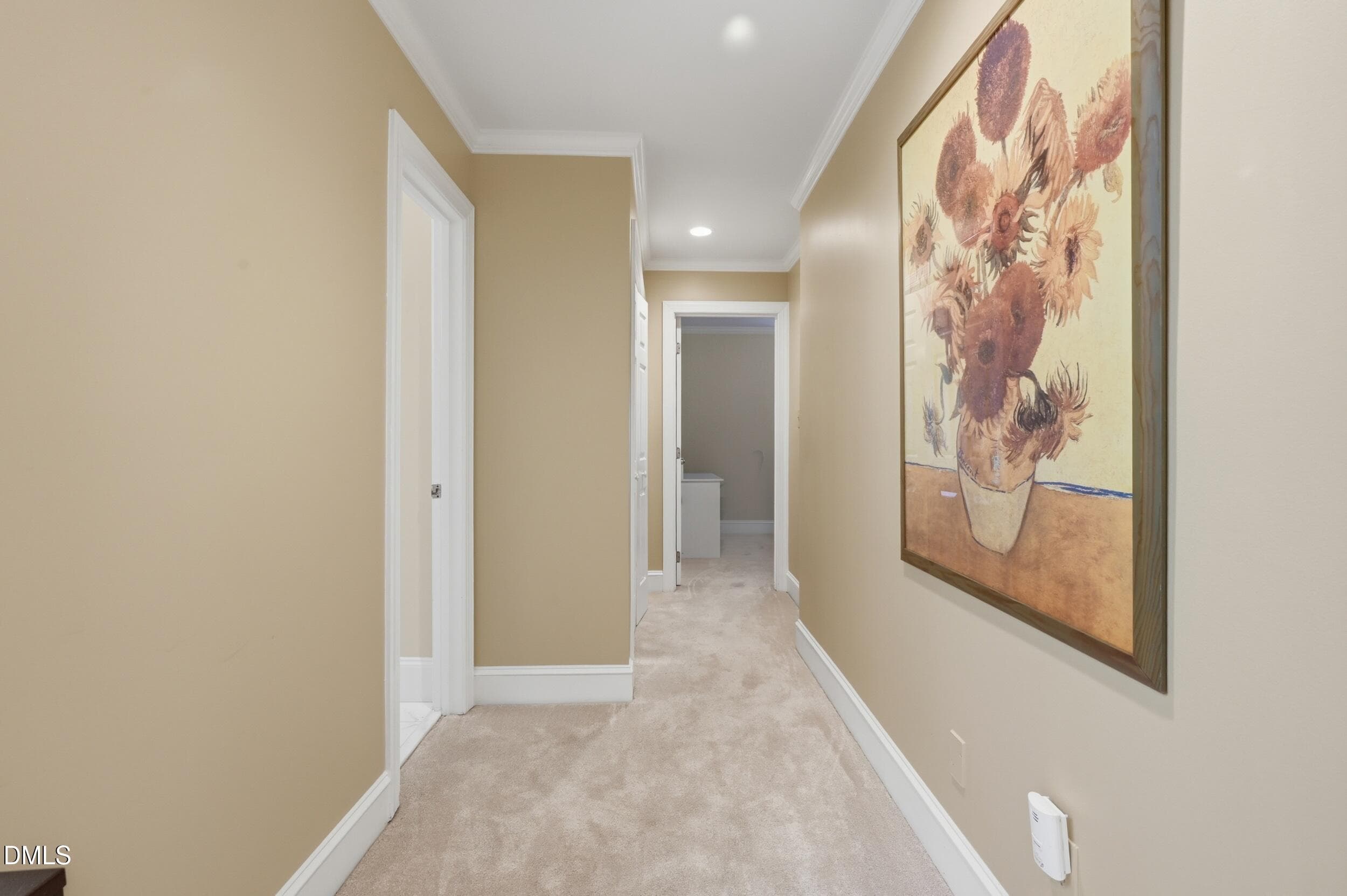 147 - 7514 Wellesley Park S, Raleigh, NC 27615, Raleigh
