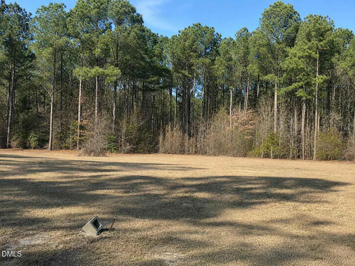 290 R Lot image - 290 Raynor Sands Drive, Dunn, NC 28334