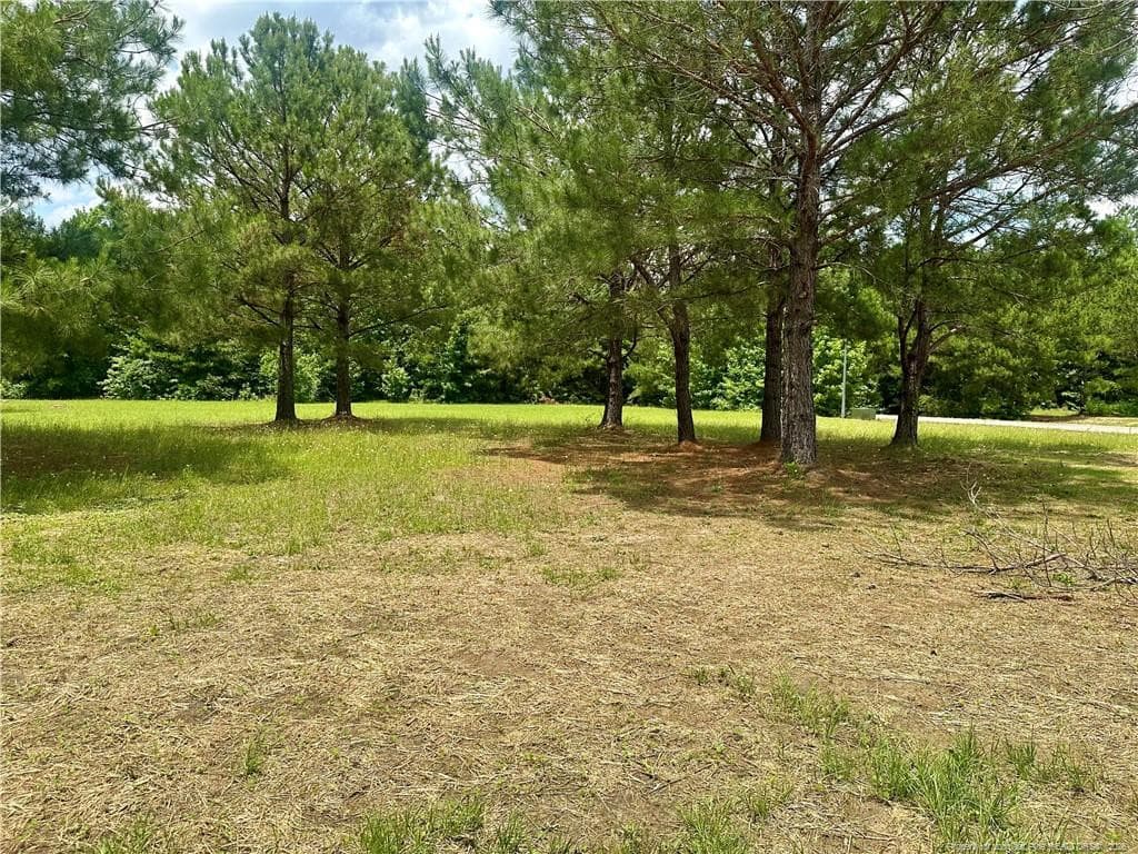 Photo 6 - 18 Floral Springs Road, Lumberton, NC 28360