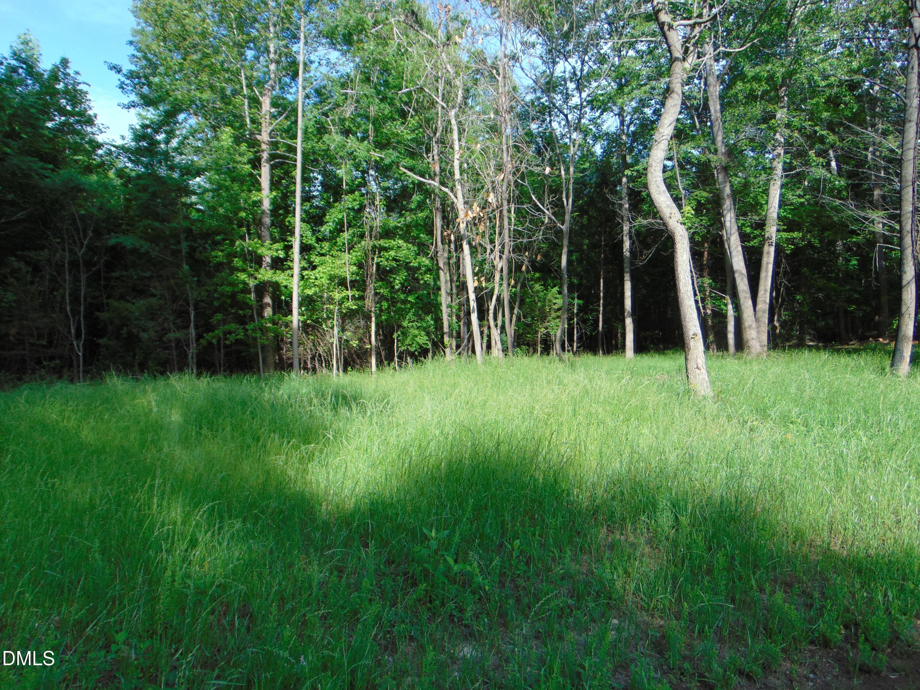 DSC01565 - 0 Walters Mill Road, Providence, NC 27315