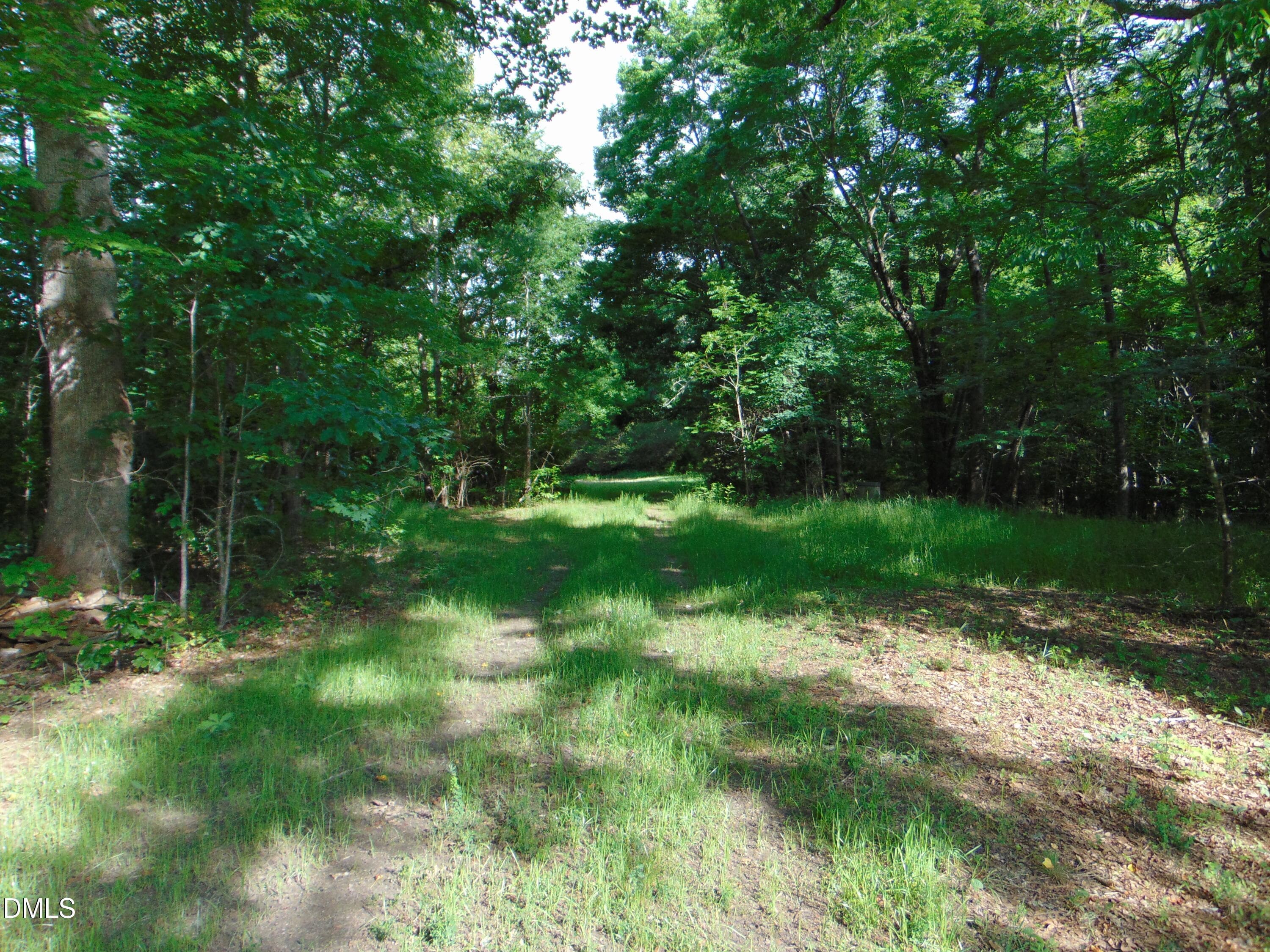 DSC01566 - 0 Walters Mill Road, Providence, NC 27315