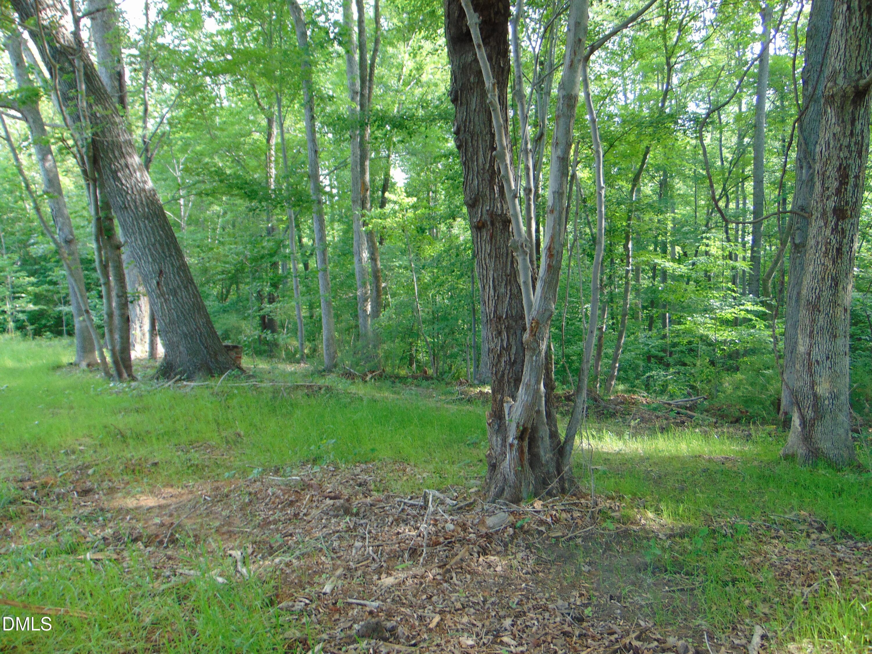DSC01569 - 0 Walters Mill Road, Providence, NC 27315