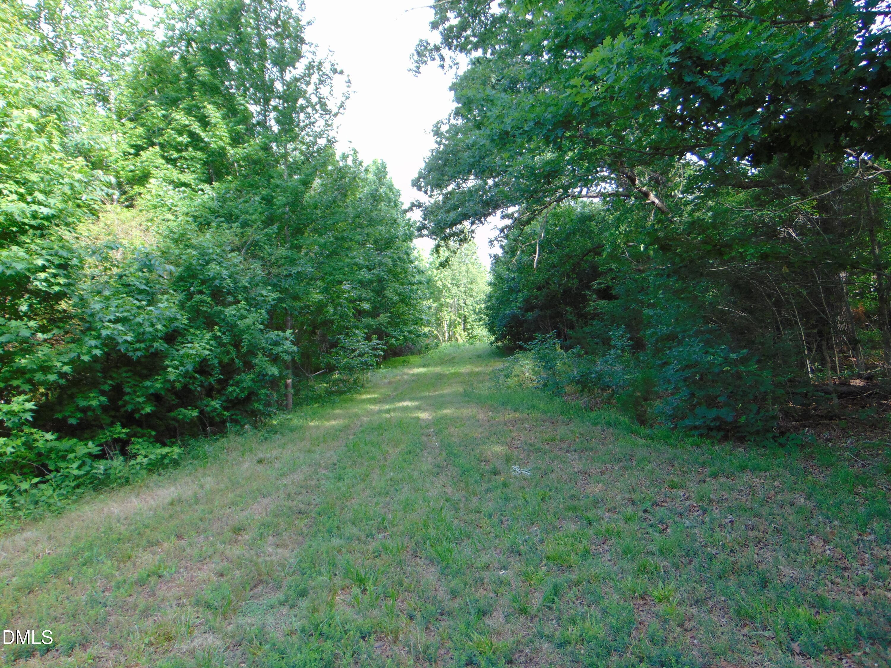 DSC01571 - 0 Walters Mill Road, Providence, NC 27315