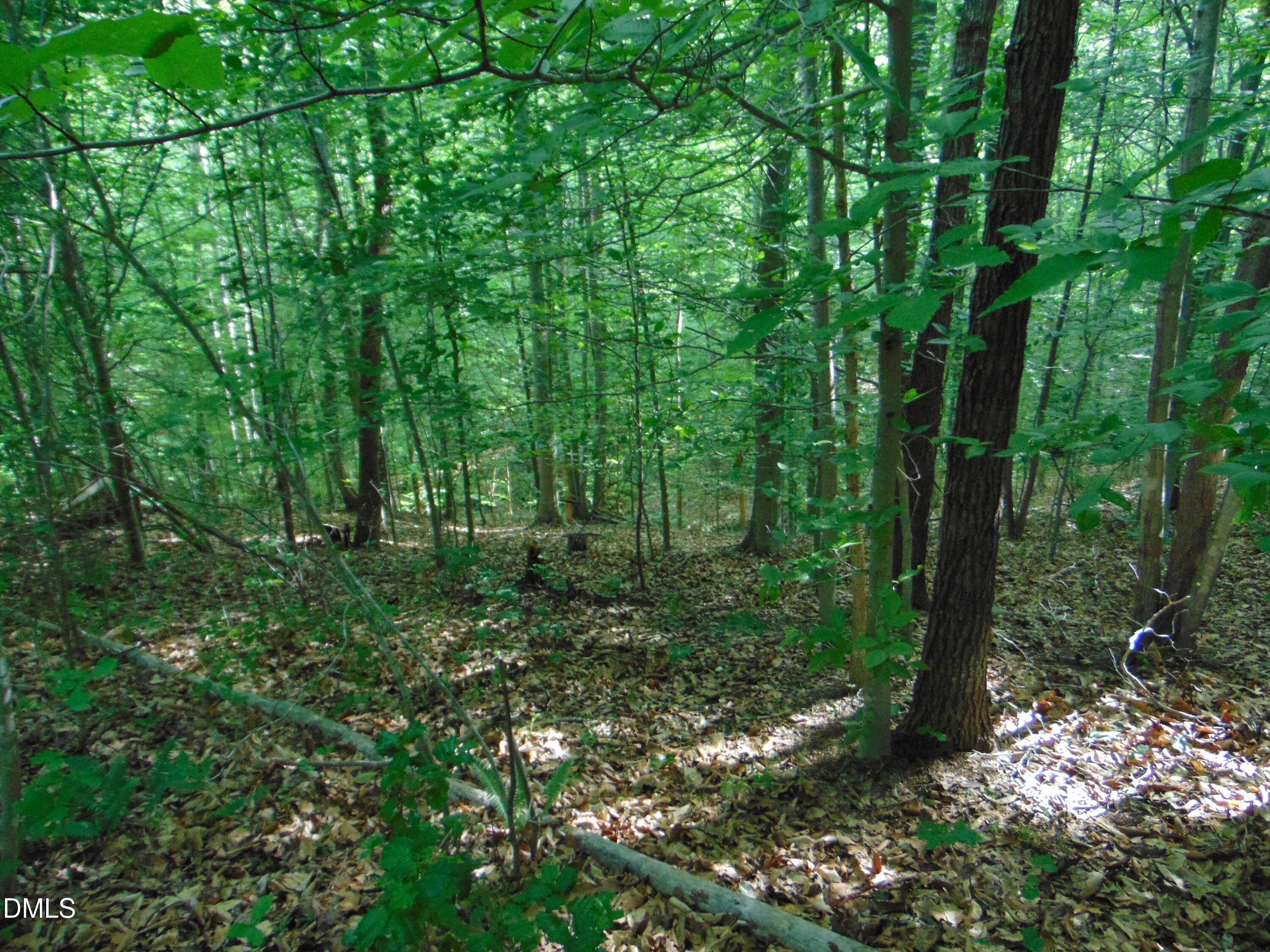 DSC01573 - 0 Walters Mill Road, Providence, NC 27315