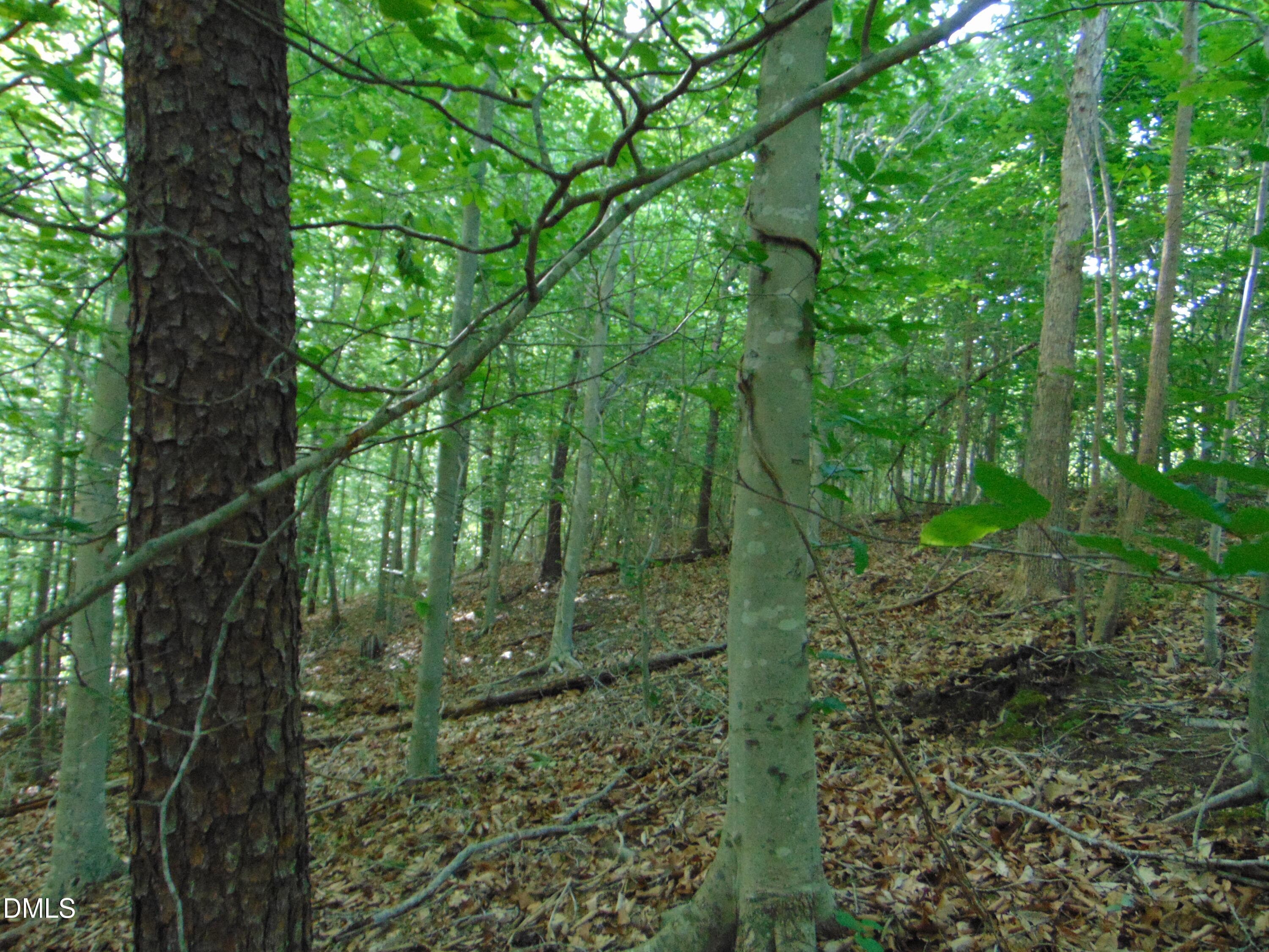 DSC01574 - 0 Walters Mill Road, Providence, NC 27315