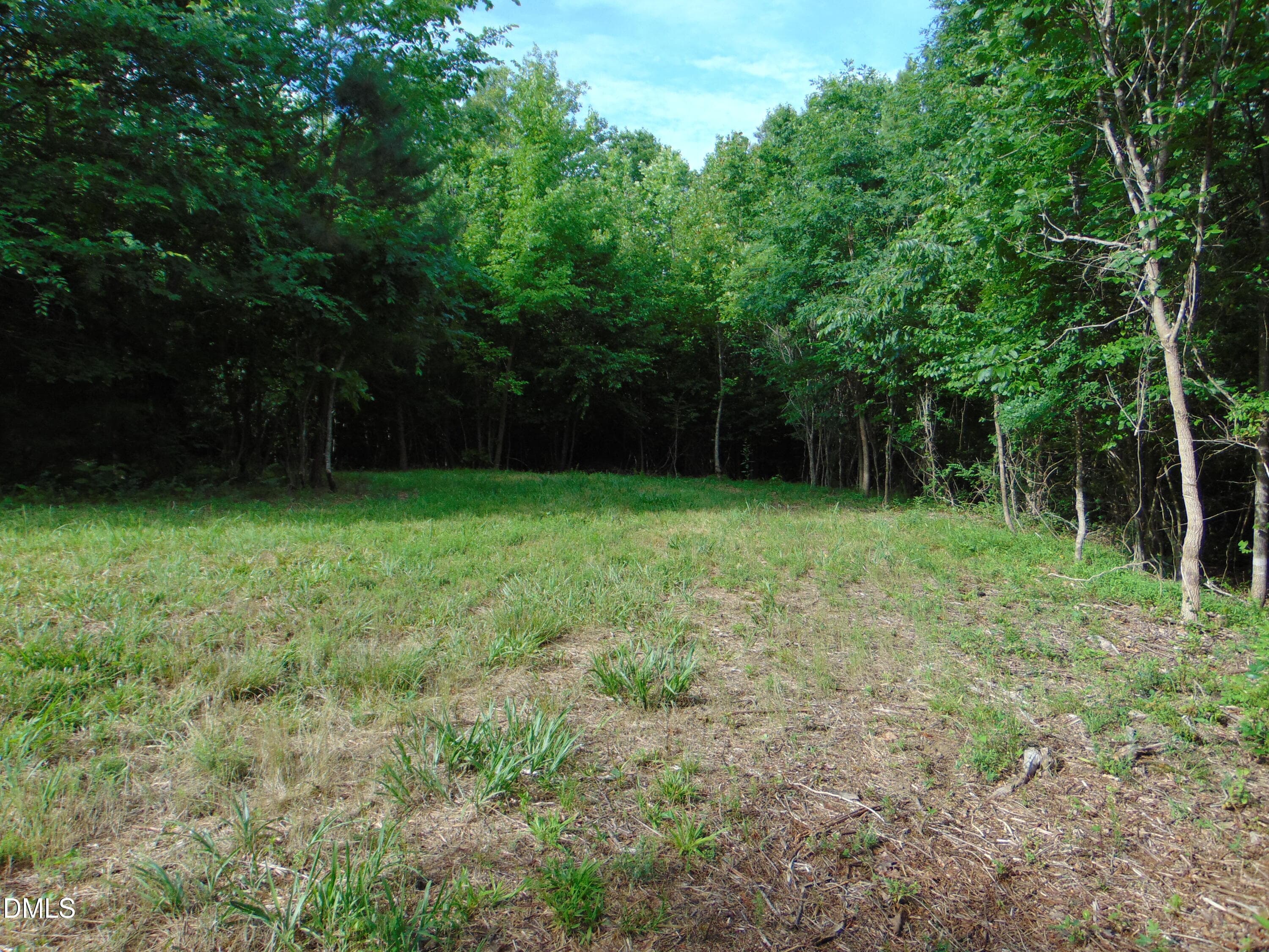DSC01575 - 0 Walters Mill Road, Providence, NC 27315