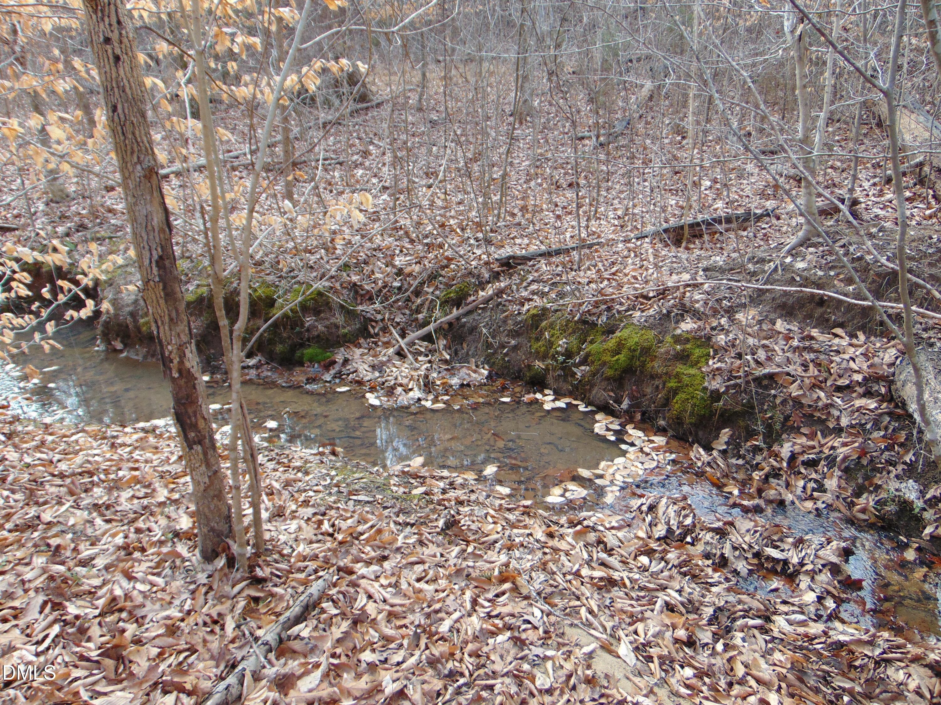 DSC01407 - 0 Walters Mill Road, Providence, NC 27315