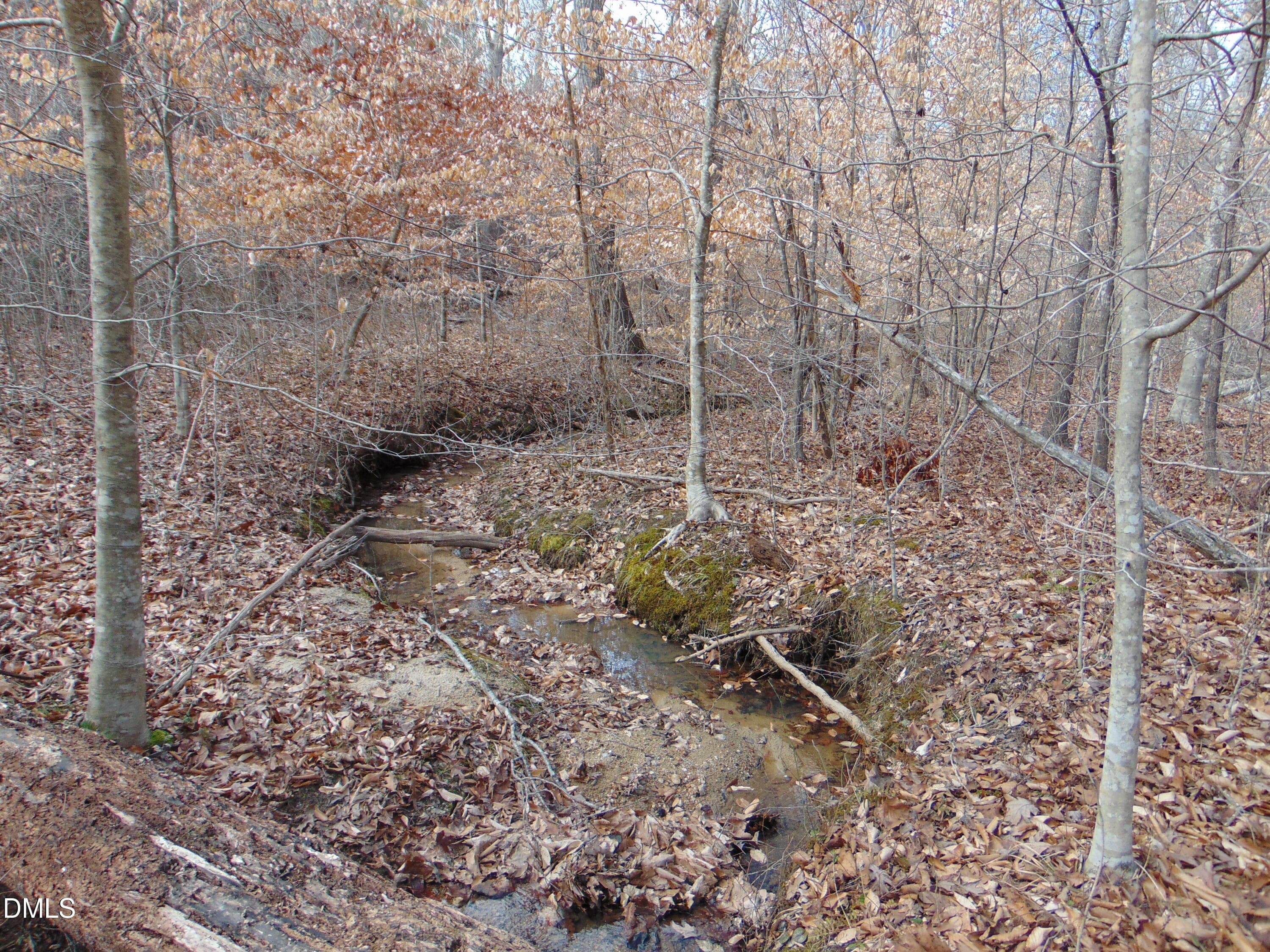 DSC01406 - 0 Walters Mill Road, Providence, NC 27315