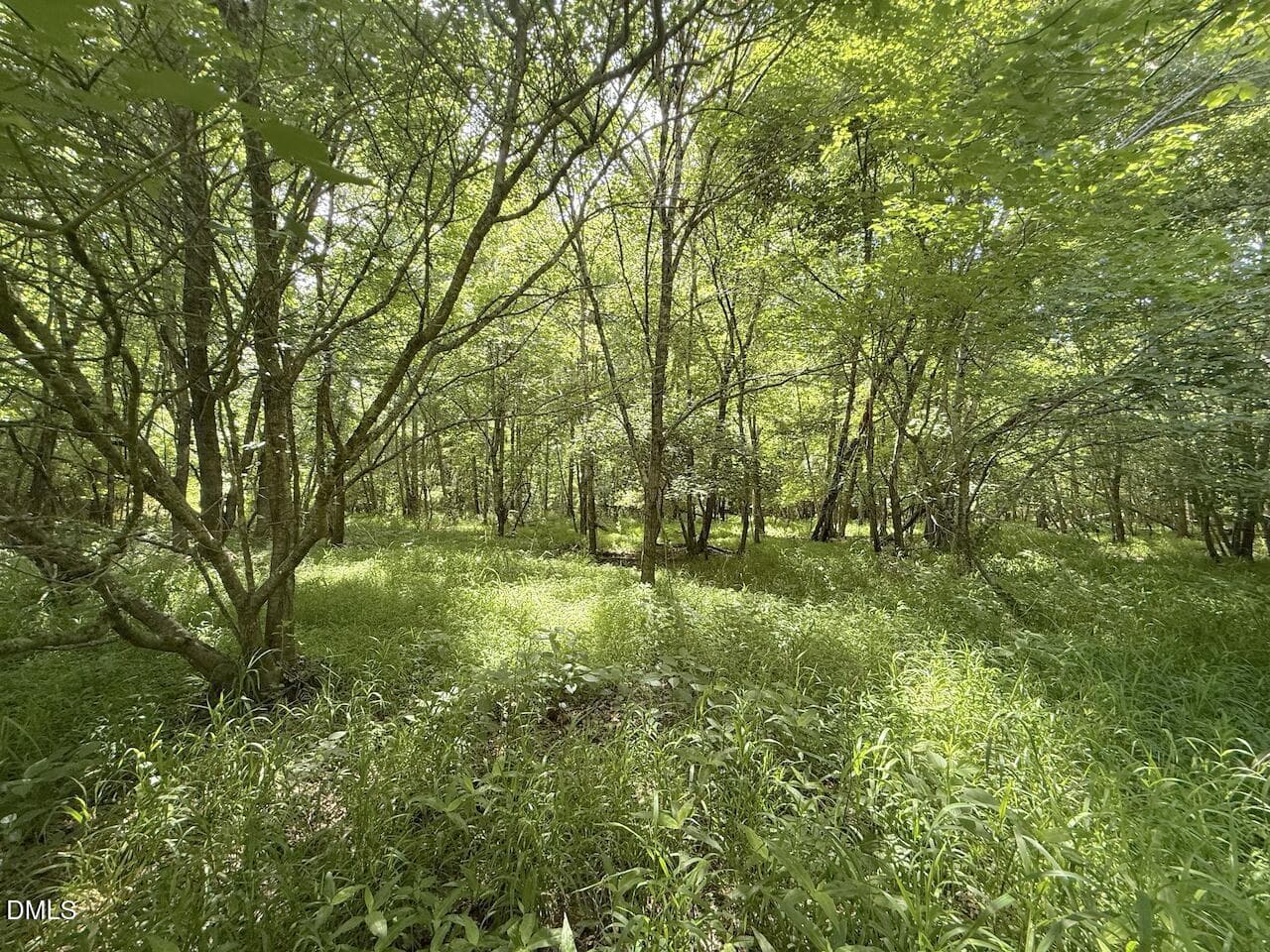 10 - 0 Tar River Rd Road, Oxford, NC 27565