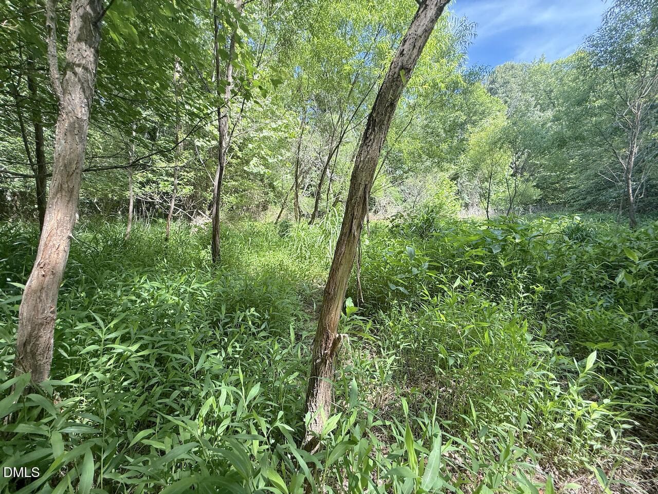 13 - 0 Tar River Rd Road, Oxford, NC 27565