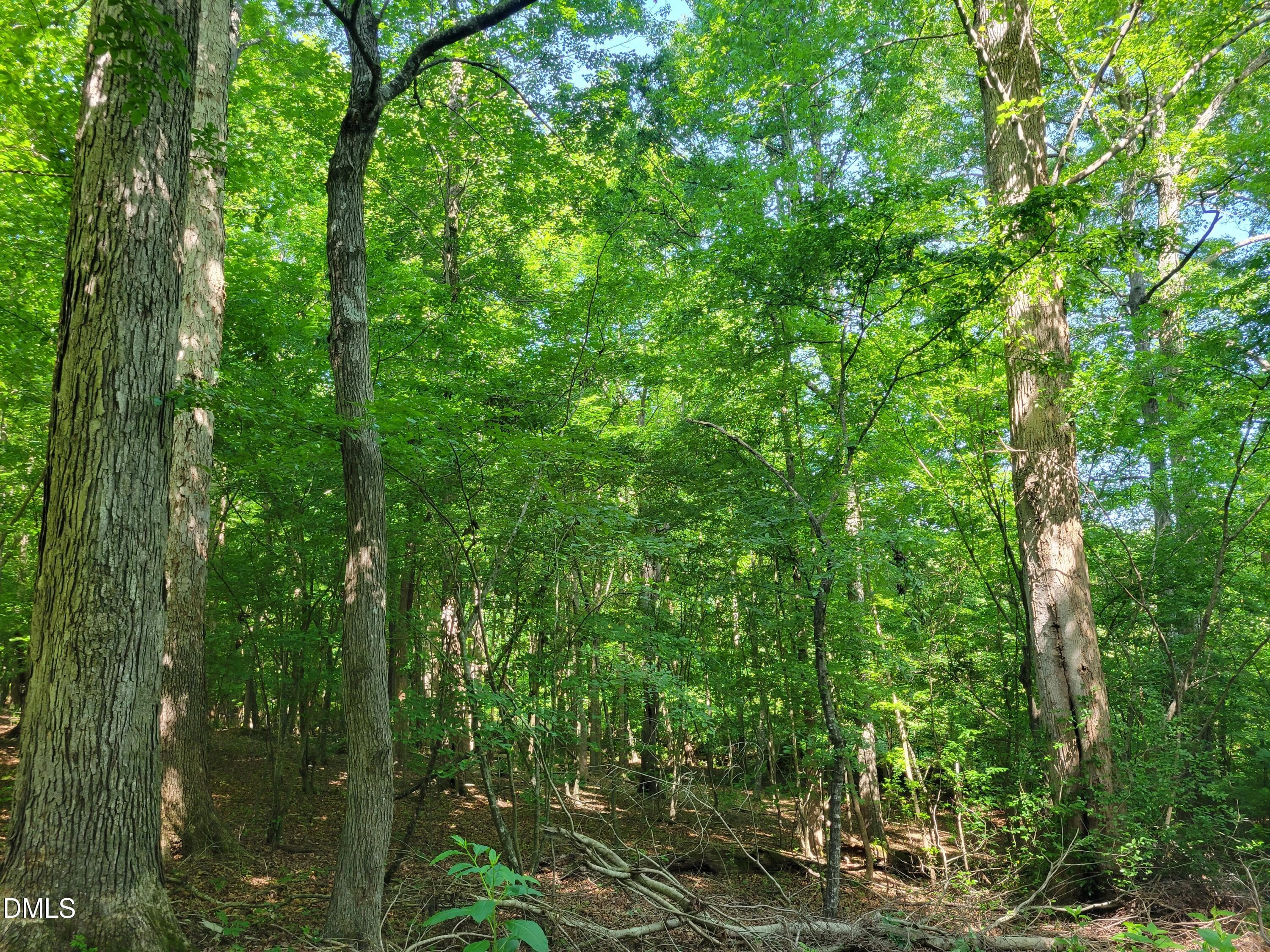 20260529_103718 - 0 Hicks Farm Road, Staley, NC 27355