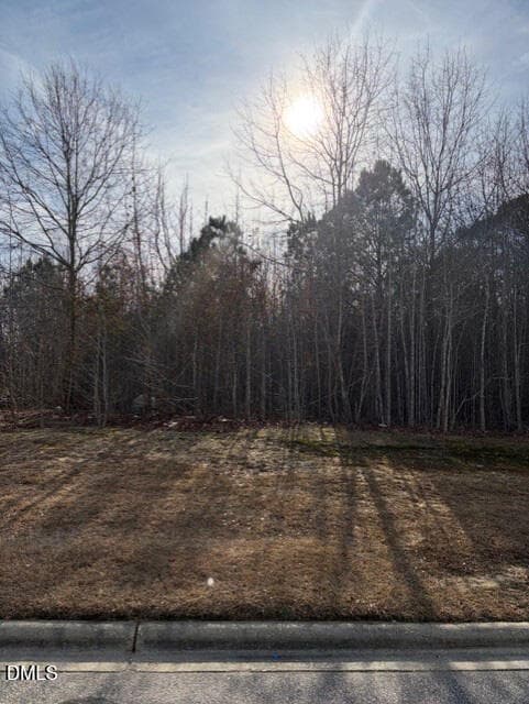 7 - 590 E Jackson Boulevard, Erwin, NC 28339