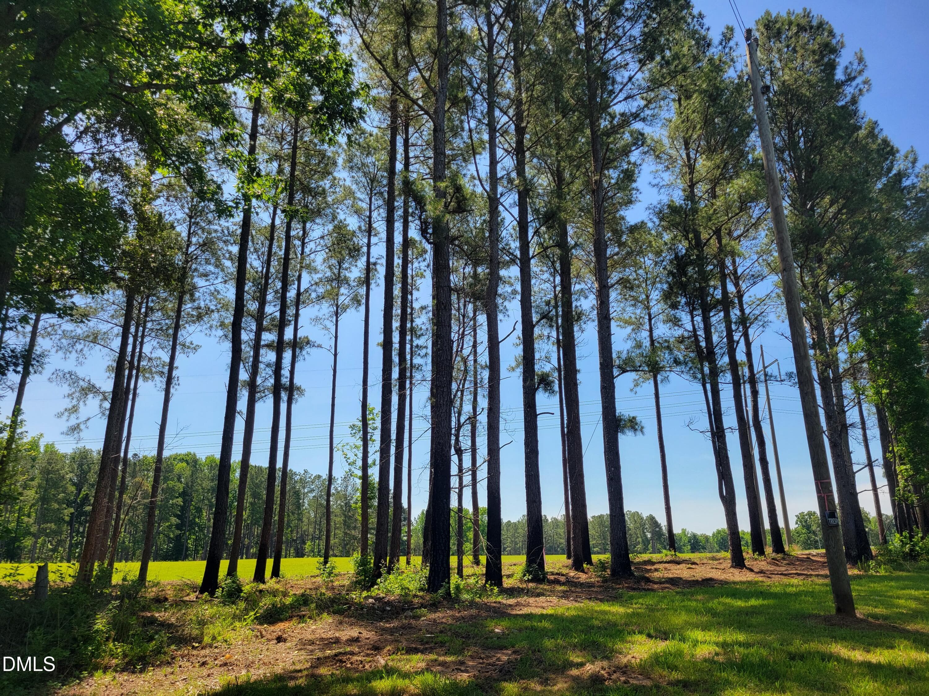 20260529_112123 - 0 Hicks Farm Road, Staley, NC 27355