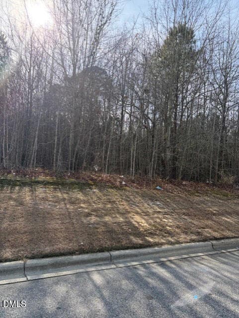 3 - 206 Hope Street, Erwin, NC 28339