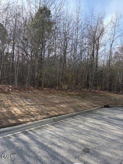 4 - 206 Hope Street, Erwin, NC 28339