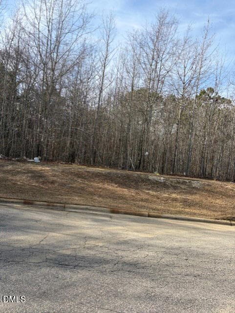 6 - 206 Hope Street, Erwin, NC 28339