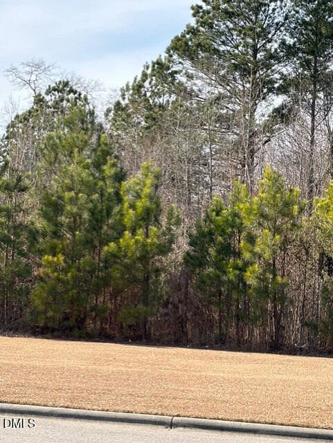 4 - 0 Saint Matthews Road, Erwin, NC 28339