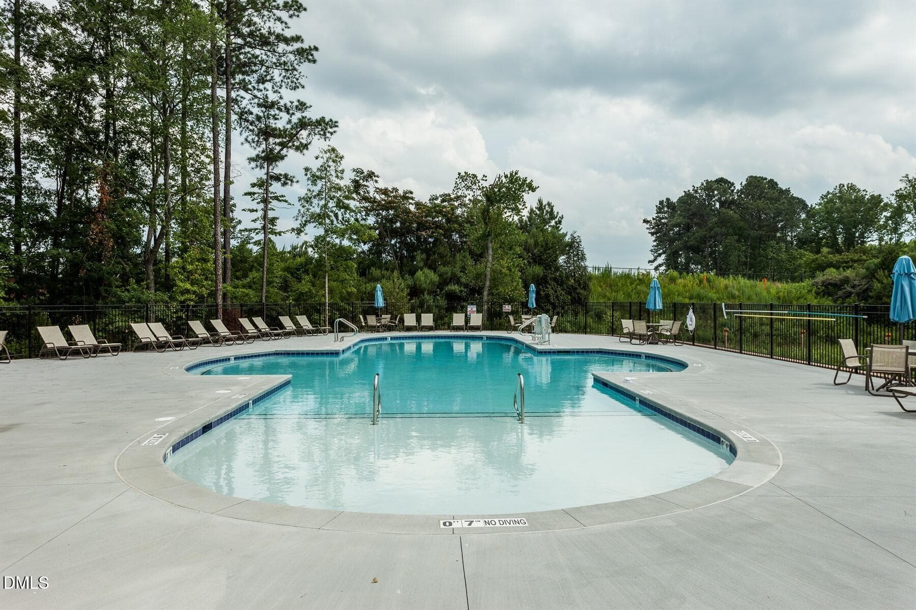 49516397 - 1047 Diamond Dove Lane, Apex, NC 27502