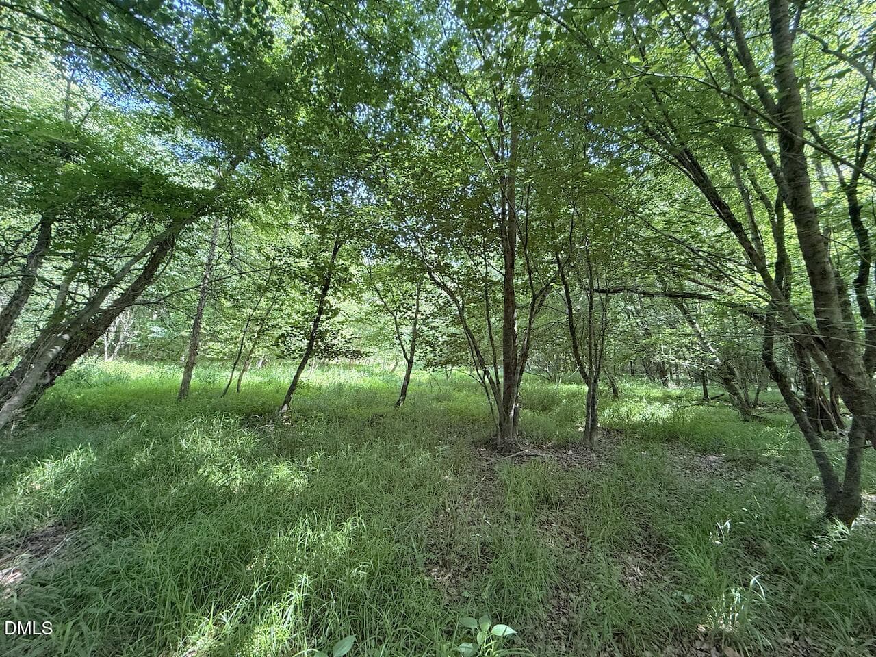 28 - 0 Tar River Rd Road, Oxford, NC 27565