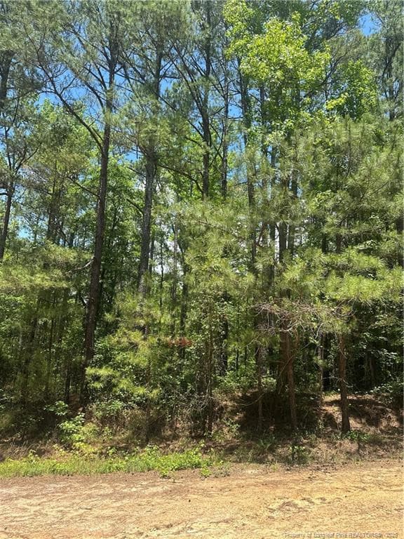 Photo 4 - 355 Marigold Lane, Vass, NC 28394