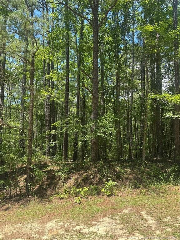 Photo 5 - 355 Marigold Lane, Vass, NC 28394