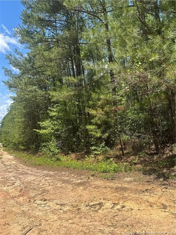 Photo 3 - 355 Marigold Lane, Vass, NC 28394